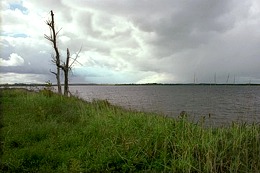 Click to enlarge